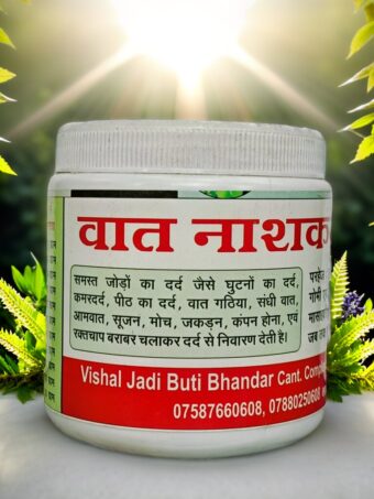 Pain Relief Powder | वात नाशक चूर्ण